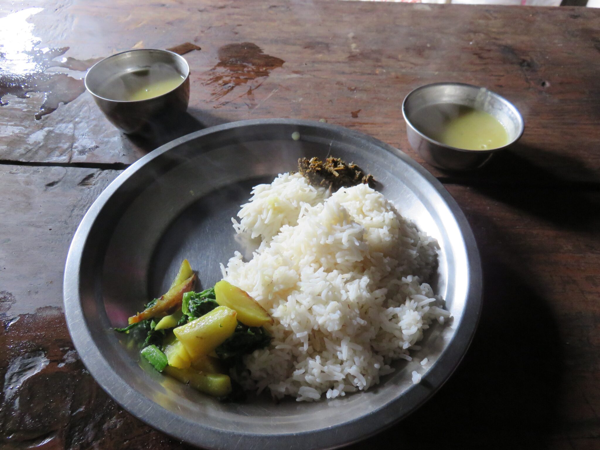 GOLDEN RICE: CAN GENETICS SAVE US? - Volunteer in the world